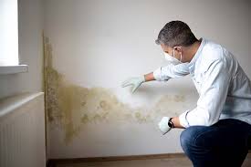 Best Mold Prevention Services  in Richwood, LA